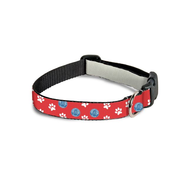 Picture of DOG COLLAR